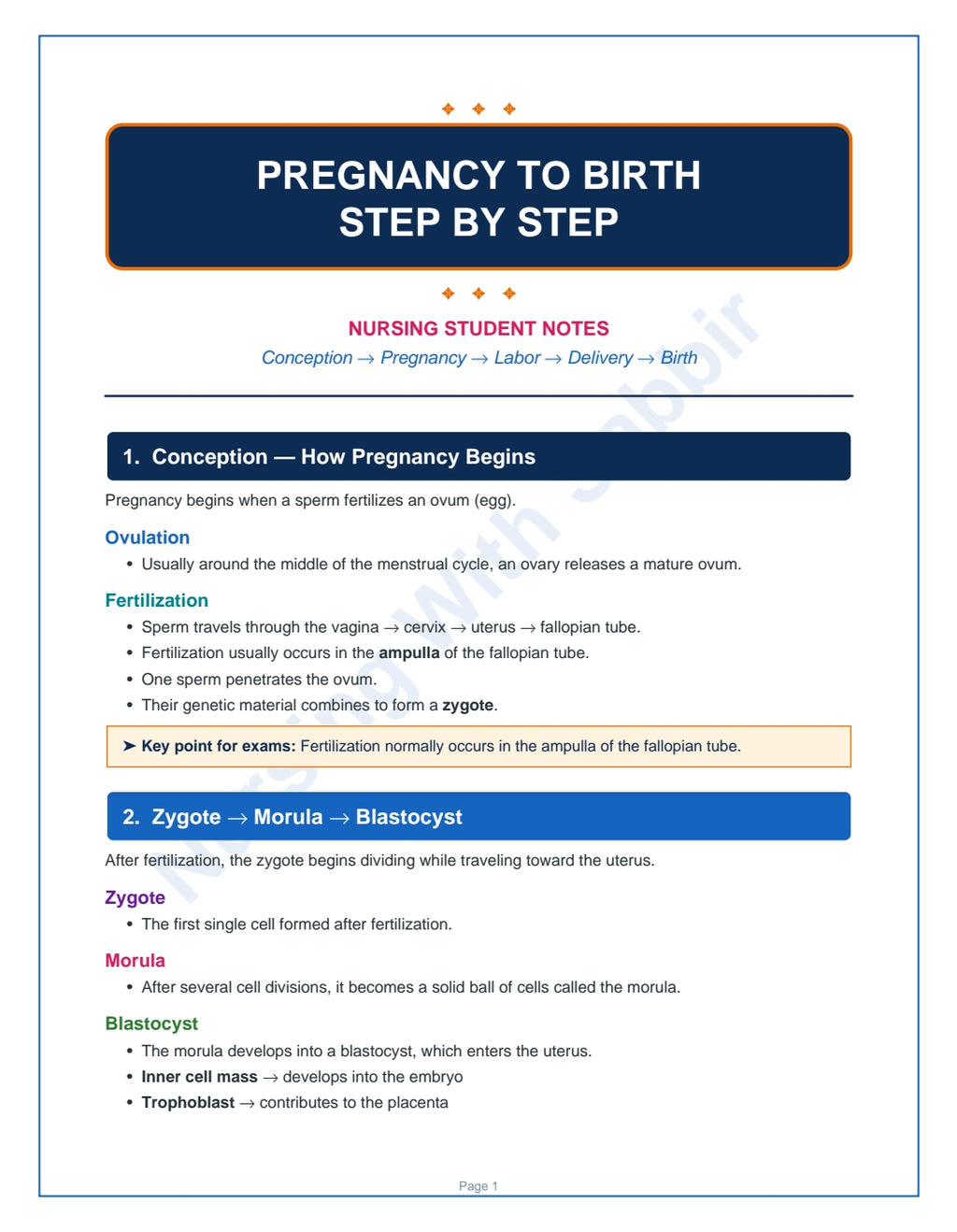 Pregnancy to Birth: A Complete Nursing Guide