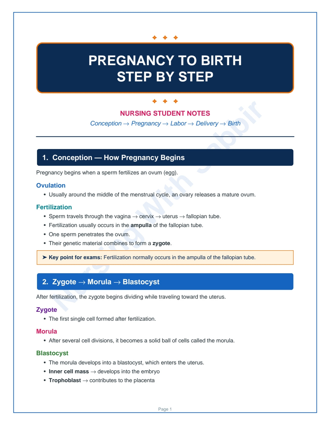 Pregnancy to Birth: A Complete Nursing Guide